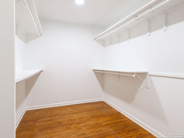 221 Harmon, San Antonio, TX 78209 - walk in closet with wood finished floors