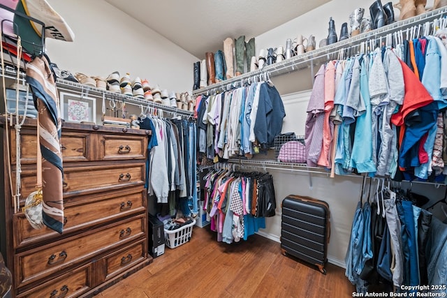 788 San Luis, New Braunfels, TX 78132 - walk in closet with wood finished floors