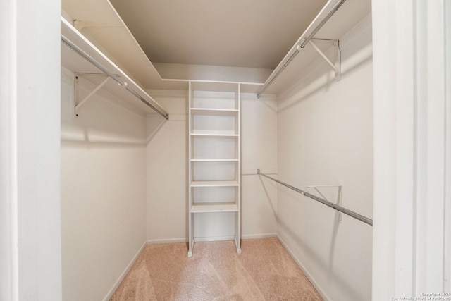 5359 Fredericksburg Unit 513, San Antonio, TX 78229 - walk in closet featuring light carpet