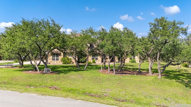 136 Eagle Crst, Spring Branch, TX 78070 - view of front of home with a front yard and stone siding