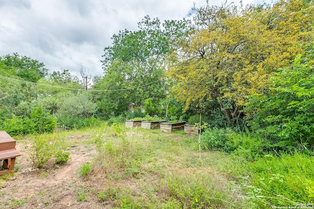1007AND1013 Fulton, San Antonio, TX 78201 - view of yard featuring a vegetable garden and a wooded view