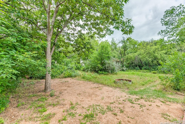 1007AND1013 Fulton, San Antonio, TX 78201 - view of yard