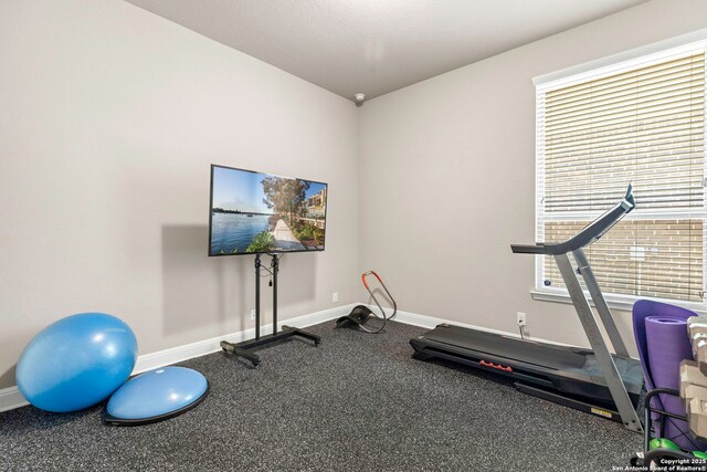 27418 Camellia Trce, Boerne, TX 78015 - workout room featuring baseboards
