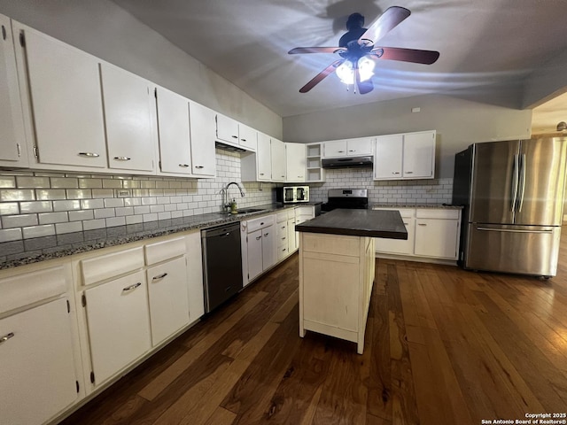 1024 W Mistletoe, San Antonio, TX 78201 - kitchen with stainless steel appliances, under cabinet range hood, a sink, a ceiling fan, and backsplash