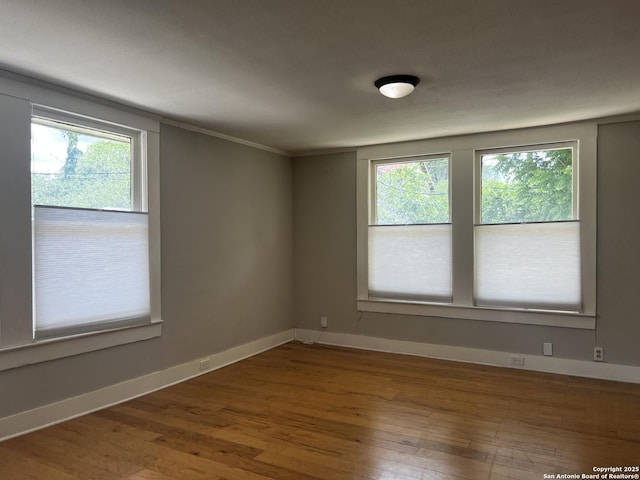 1024 W Mistletoe, San Antonio, TX 78201 - unfurnished room featuring plenty of natural light, wood finished floors, baseboards, and ornamental molding