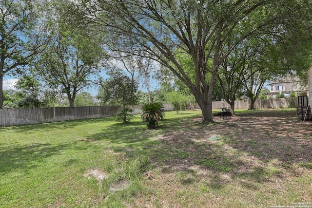 251 Las Brisas, Seguin, TX 78155 - view of yard
