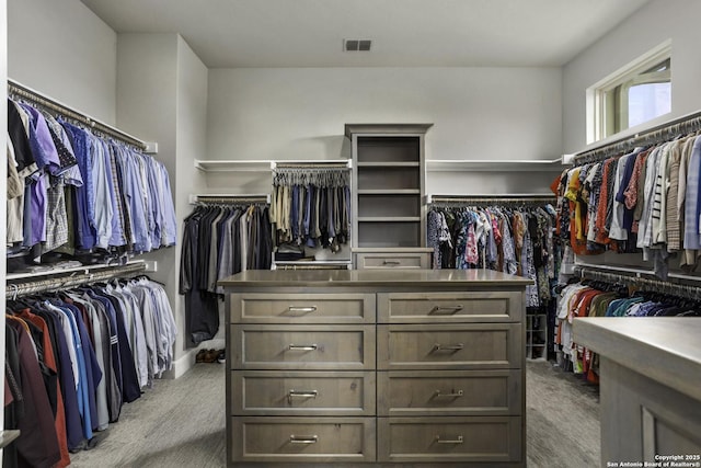 8602 Terra Mont Way, San Antonio, TX 78255 - walk in closet with carpet floors