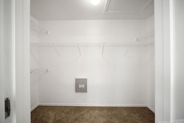 9026 Foxgrove Way, San Antonio, TX 78251 - walk in closet with carpet flooring