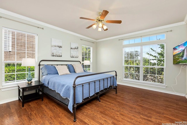 9106 Thomas York, San Antonio, TX 78251 - bedroom featuring wood finished floors, ornamental molding, multiple windows, and ceiling fan