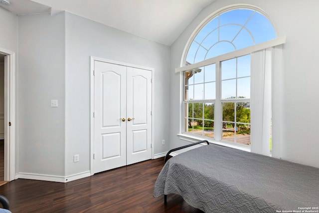 9106 Thomas York, San Antonio, TX 78251 - bedroom featuring wood finished floors, multiple windows, a closet, and vaulted ceiling
