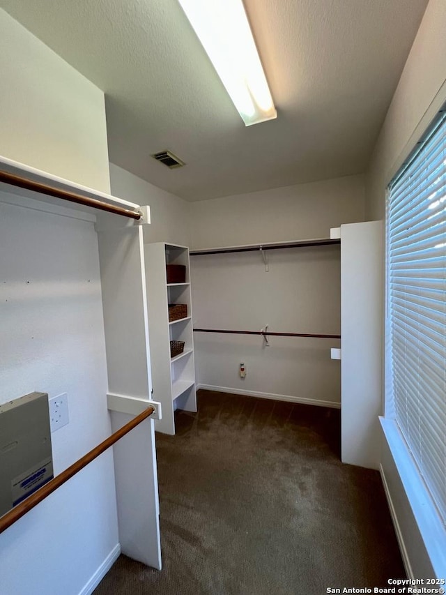 5014 Ashton Audrey, San Antonio, TX 78249 - walk in closet with dark colored carpet