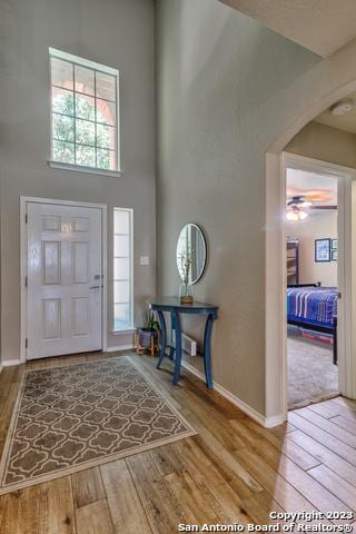 331 Primrose, New Braunfels, TX 78132 - entryway with wood finished floors, a towering ceiling, baseboards, and healthy amount of natural light