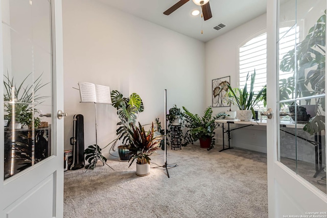 17703 San Felipe Bay, San Antonio, TX 78255 - carpeted office featuring ceiling fan
