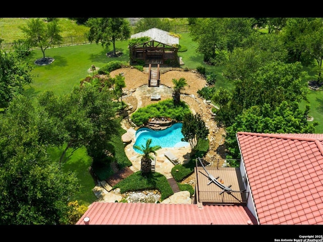 1280 Mystic Pkwy, Spring Branch, TX 78070 - drone / aerial view of a pool