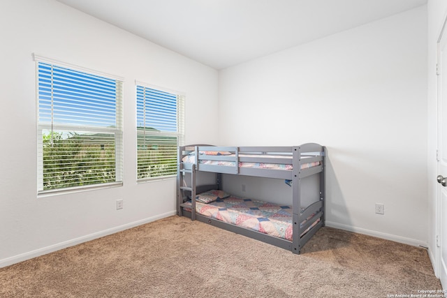 14527 Austin Hts, San Antonio, TX 78253 - bedroom featuring carpet and baseboards