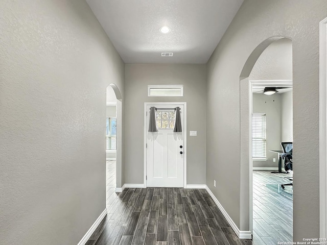 1229 Marlys, Canyon Lake, TX 78133 - entryway with arched walkways, a textured wall, baseboards, dark wood-style floors, and plenty of natural light
