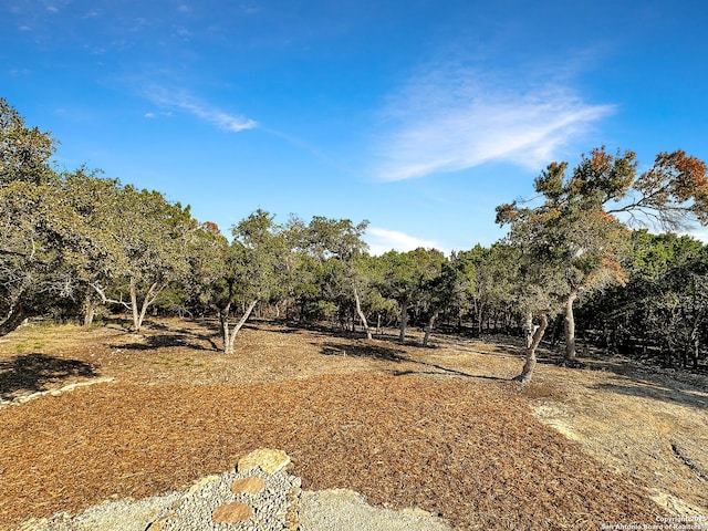 1229 Marlys, Canyon Lake, TX 78133 - view of yard