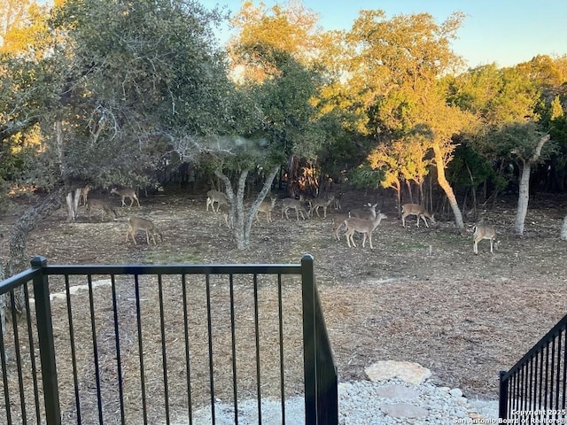 1229 Marlys, Canyon Lake, TX 78133 - view of yard