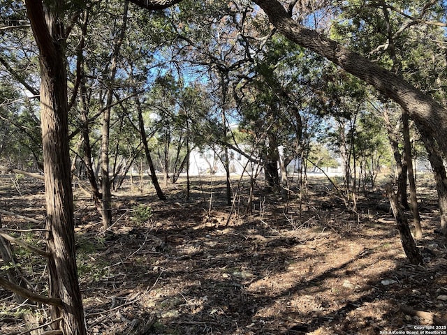 1229 Marlys, Canyon Lake, TX 78133 - view of undeveloped land