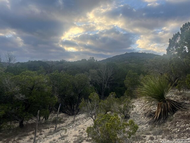 868 Lakeridge Loop, Lakehills, TX 78063 - view of mountain backdrop with a forest