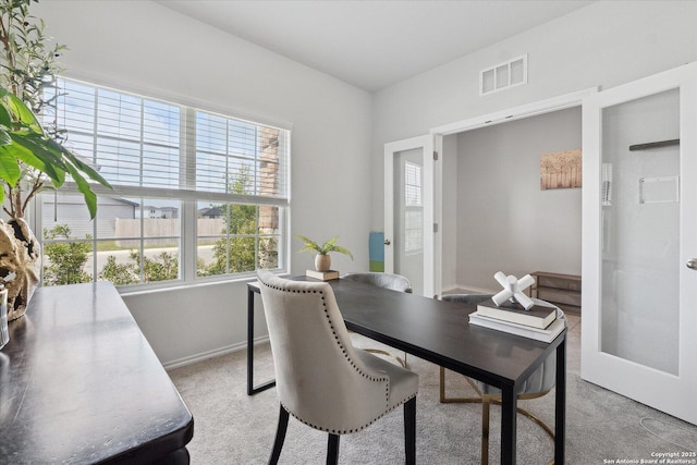 14607 Flatiron Clf, San Antonio, TX 78253 - office area featuring healthy amount of natural light, light colored carpet, and baseboards