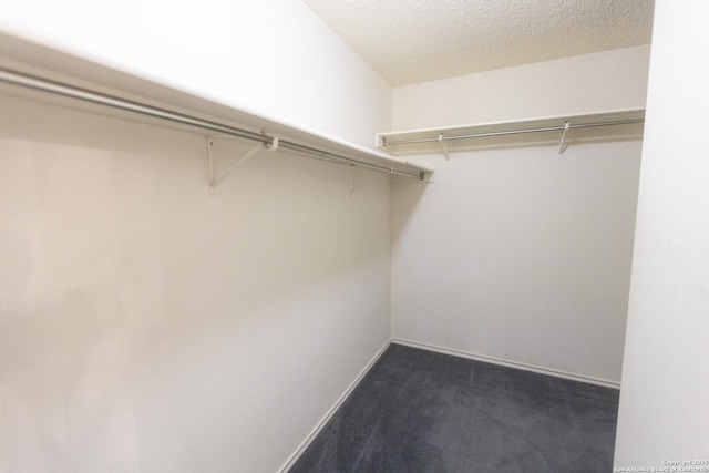 13043 Woller Crk, San Antonio, TX 78249 - spacious closet with dark colored carpet
