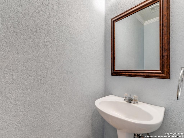 4622 Stallion Cv, San Antonio, TX 78244 - bathroom featuring ornamental molding, a sink, and a textured wall