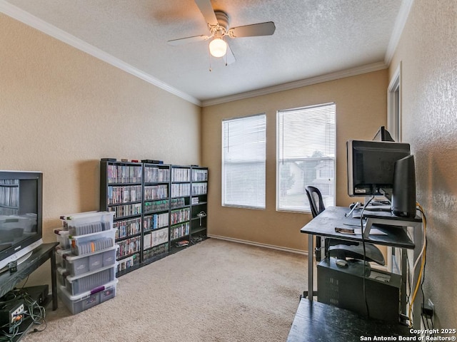 4622 Stallion Cv, San Antonio, TX 78244 - home office with a ceiling fan, crown molding, a textured wall, carpet, and a textured ceiling