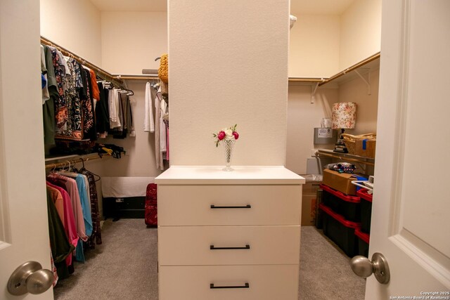 4634 Makayla Cross, San Antonio, TX 78261 - walk in closet with light colored carpet