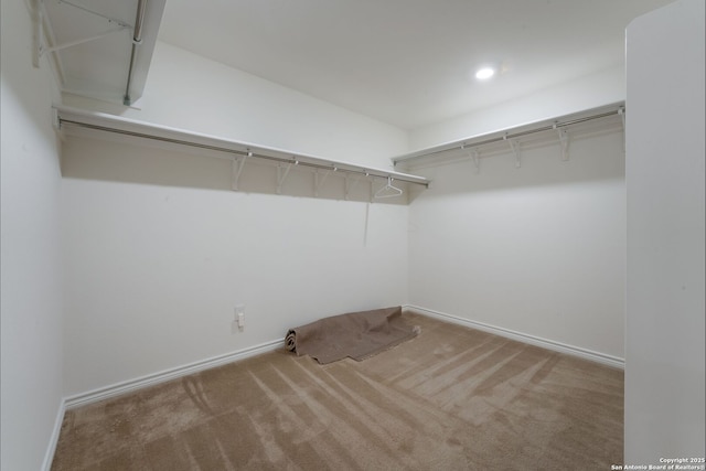 5245 Nature Path, Schertz, TX 78154 - walk in closet with carpet floors