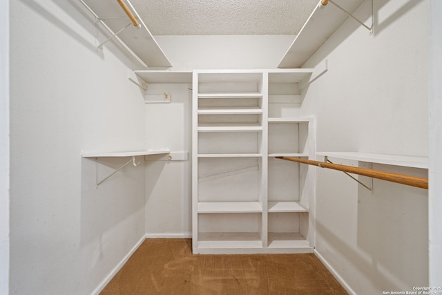 2822 Low Oak, San Antonio, TX 78232 - walk in closet with carpet floors