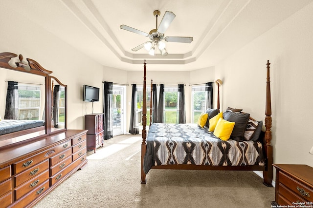 3353 Joshs Way, Marion, TX 78124 - bedroom with light carpet, a raised ceiling, and multiple windows