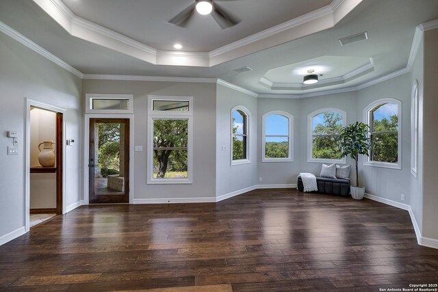 112 Legend Holw, Boerne, TX 78006 - entryway with a tray ceiling, plenty of natural light, wood finished floors, a ceiling fan, and ornamental molding