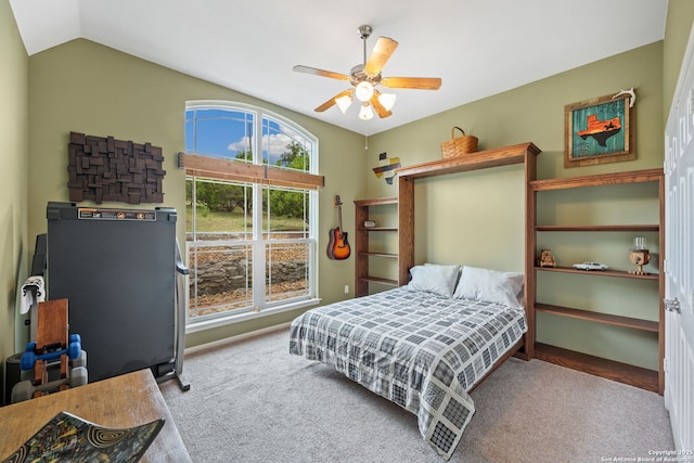 212 Vista Vw, Spring Branch, TX 78070 - carpeted bedroom with lofted ceiling and a ceiling fan