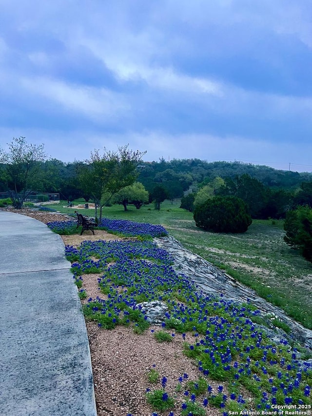 212 Vista Vw, Spring Branch, TX 78070 - view of yard