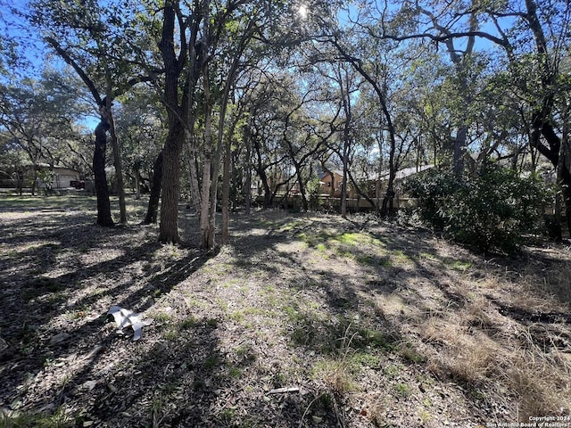 6514 W Ave, Castle Hills, TX 78213 - view of yard