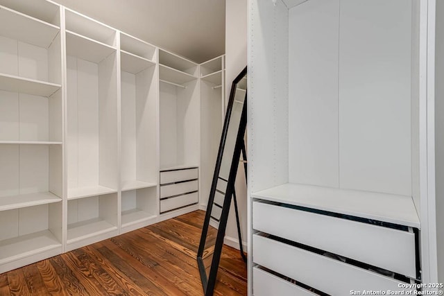 264 E Lullwood, San Antonio, TX 78212 - walk in closet featuring dark wood finished floors