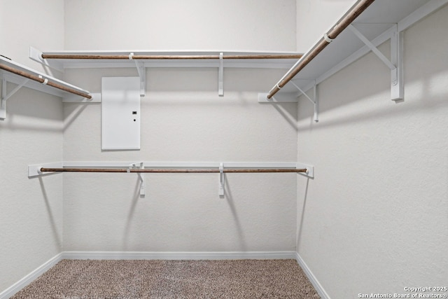 8339 Percheron Pass, San Antonio, TX 78254 - spacious closet with carpet and electric panel
