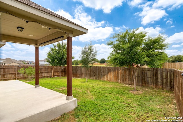 8339 Percheron Pass, San Antonio, TX 78254 - view of yard with a patio