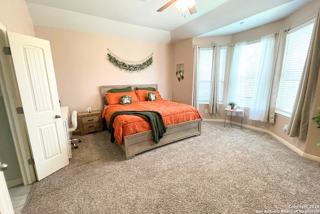 8339 Percheron Pass, San Antonio, TX 78254 - bedroom with carpet floors and multiple windows