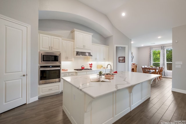 28515 Vogelsdorf, Boerne, TX 78006 - kitchen with appliances with stainless steel finishes, lofted ceiling, dark wood-style flooring, decorative backsplash, and a center island with sink