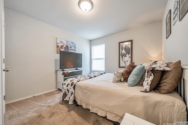 14616 Stable Spgs, Elmendorf, TX 78112 - bedroom with carpet and a textured ceiling