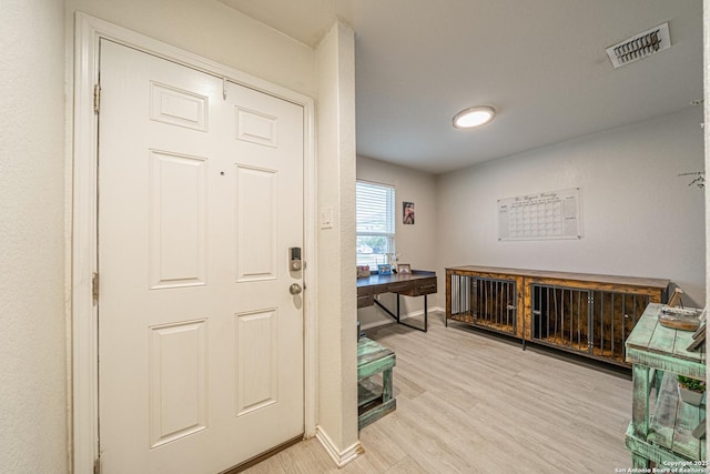 14616 Stable Spgs, Elmendorf, TX 78112 - foyer entrance featuring light wood finished floors and baseboards