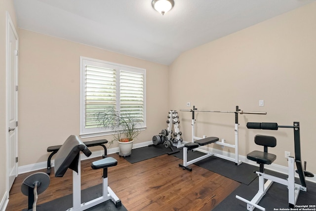 21302 Ronda De Cadiz, San Antonio, TX 78257 - exercise area with wood finished floors, baseboards, and lofted ceiling