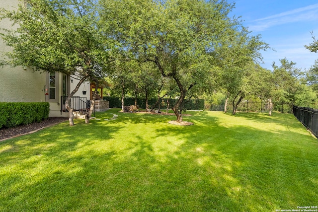 21302 Ronda De Cadiz, San Antonio, TX 78257 - view of yard