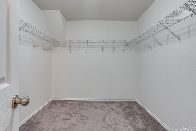 9910 Cowboy Ln, San Antonio, TX 78254 - spacious closet with carpet floors