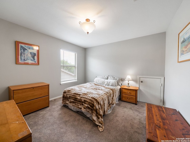 3842 Fiesta Trl, San Antonio, TX 78245 - bedroom with carpet floors