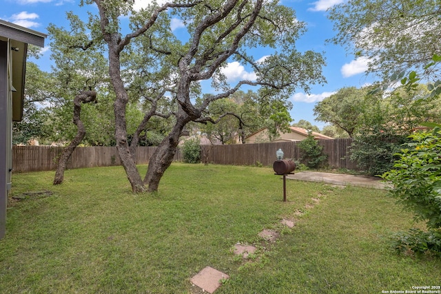 9711 Doefield, San Antonio, TX 78250 - view of yard