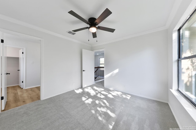 16415 Old Stable, San Antonio, TX 78247 - unfurnished bedroom with multiple windows, carpet flooring, ornamental molding, a ceiling fan, and baseboards