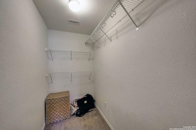 11907 Pure Silver, San Antonio, TX 78254 - walk in closet featuring carpet floors